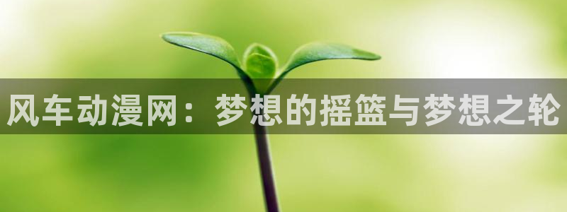 汗汗漫画搜索：风车动漫网：梦想的摇篮与梦想之轮配图