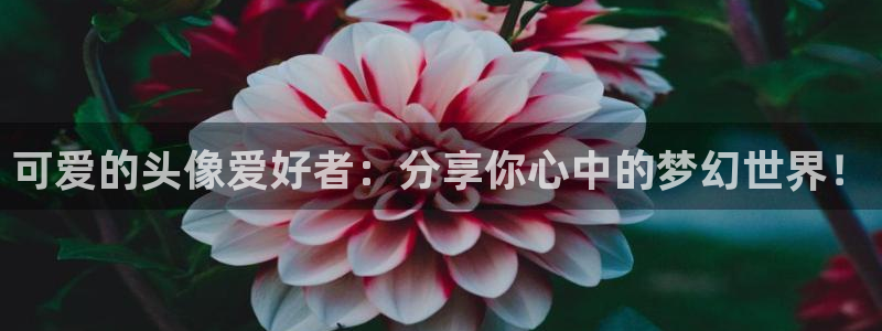 汗汗漫画大全免费在线阅读:可爱的头像爱好者:分享你心中的梦幻世界!配图