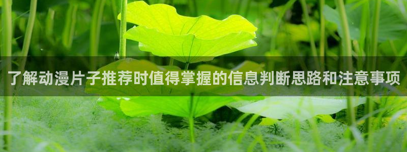 汗汗漫画新作榜单：了解动漫片子推荐时值得掌握的信息判断思路和注意事项配图
