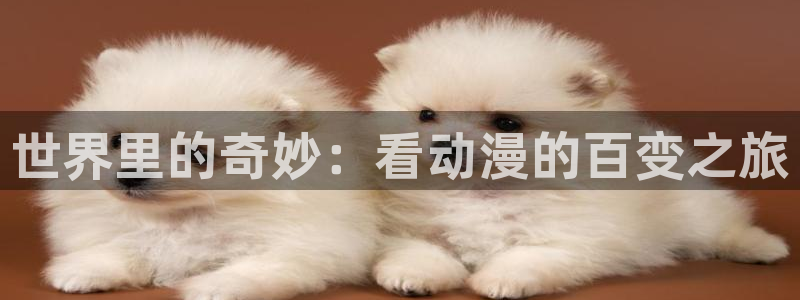 汗汗漫画每日更新列表：世界里的奇妙：看动漫的百变之旅配图